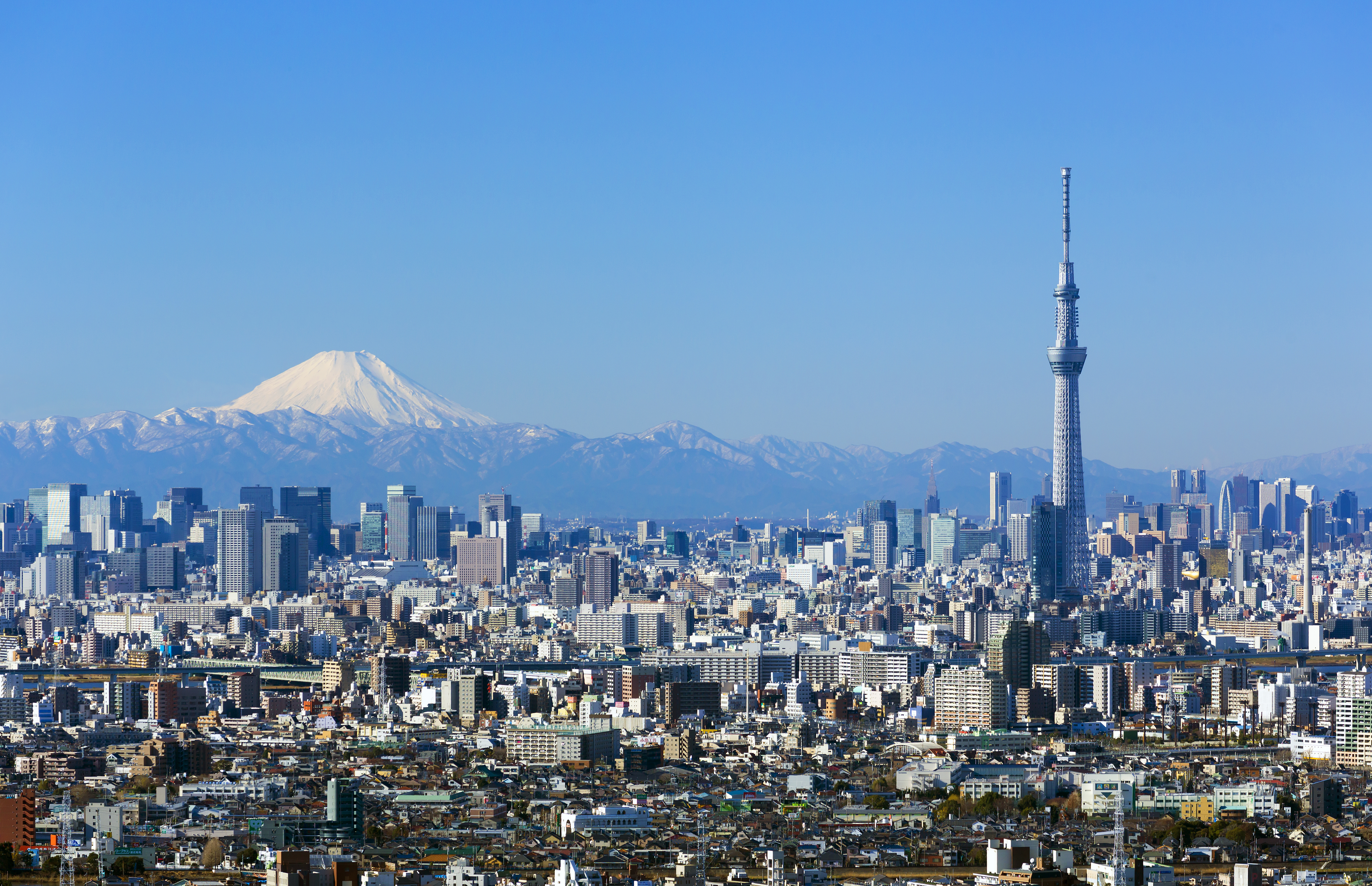 東京都市風景 快晴青空 富士山と東京スカイツリー 東京都心の高層ビル群を一望 江戸川病なう